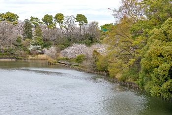 地域密着